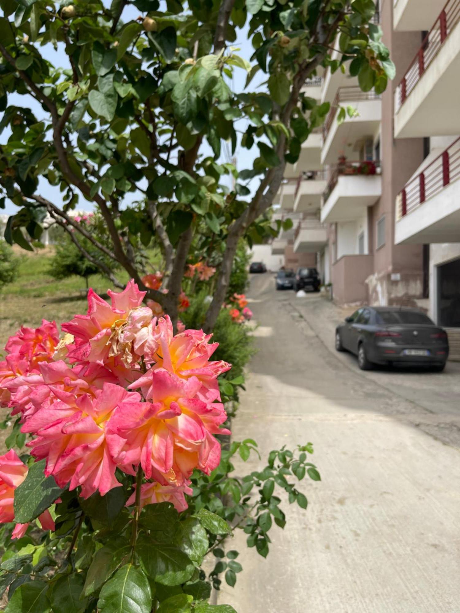 Beach Apartments ดูร์เรส ภายนอก รูปภาพ